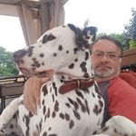 Wayne Hillier - @waynehillier1963 - Instagram