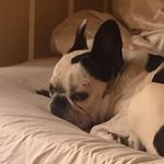 Wayne Hillier - @wayneh7432 - Instagram