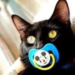 Logan Wayne Himes - @himeslogan - Instagram