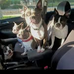 Wayne Hinds - @hindswayne - Instagram