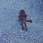 Wayne Hines - @waynehines2 - Instagram