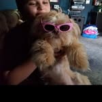 Wayne Hines - @wayne_m.hines - Instagram