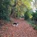 Wayne Hinton - Facebook