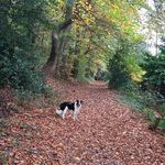 Wayne Hinton - @waynehinton23 - Instagram