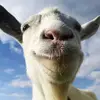 WayneHodges - @toreyamxpe2 - TikTok