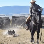 Wayne Hofer - @waynehofer0131 - Instagram