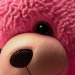 Wayne Hofer - @w.hofer12 - Instagram