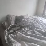 Wayne Stadlhofer - @waynestadlhofer - Instagram