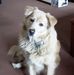 Wayne Holpuch - Facebook