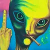 $lilwayne8869 - @wayneholbert69 - TikTok
