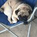 Wayne Hollenbeck - Facebook