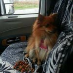 Wayne Holliday - @hollidaywayne - Instagram