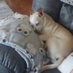 Wayne Holloman - Facebook