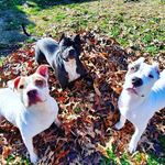 Wayne & Holly Bassett - @chloe.tucker.gypsy.juno - Instagram