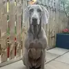 Wayne Holroyd - @wayne.holroyd - TikTok