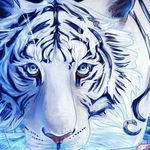 Wayne Holtzman - @holtzman_wayne - Instagram