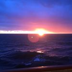 Wayne Holtzman - @wayneholtzman - Instagram