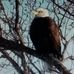 Wayne Holtzman - Facebook