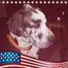 Wayne Honeycutt - @wayne.honeycutt - TikTok