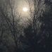 Wayne Honeycutt - Facebook