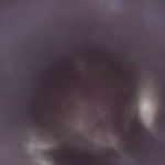 Wayne Hope - @wayne.hope.359778 - Instagram