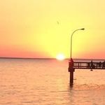 WayneO - @wayne.hopper.33 - Instagram
