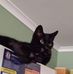 Wayne Hornsby - Facebook