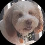 Wayne Horridge - @waynehorridge1 - Instagram