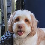 Wayne Horridge - @waynehorridge - Instagram