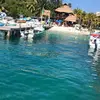 Wayne House - @hereforherpleasure - TikTok