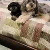 Wayne Howard - @wayne.howard841 - TikTok