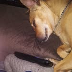 Wayne Howe - @waynehowe59 - Instagram