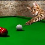 Wayne Hubbard - @kimwayne1963 - Instagram