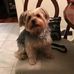 Wayne Hubbell - Facebook