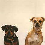 Wayne Huber - @wayne_huber - Instagram