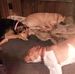 Wayne Hufford - Facebook