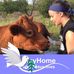 Wayne Hurford - Facebook