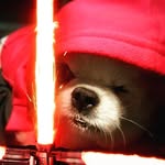 Wayne Hui - @wayne__hui - Instagram