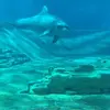 Wayne Jay Hui - @30677971817 - TikTok