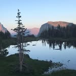 Wayne Hull - @waynehull_ - Instagram