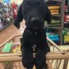 wayne.humble - @wayne.humble - TikTok