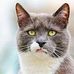 Wayne Hummel - Facebook