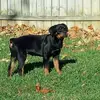 Wayne Hunley - @30189091849 - TikTok