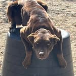 Wayne Hunter - @mwhj73 - Instagram