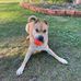 Wayne Hunter - Facebook