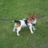 Wayne Hunter - @wayne.hunter2 - TikTok