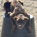 Wayne Hunter - Facebook
