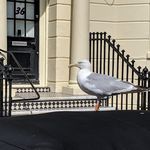 Wayne Huntley - @waynehuntley1 - Instagram