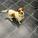 Wayne Huntley - @huntley.wayne - Instagram