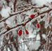 Wayne Hurd - Facebook
